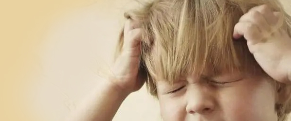 Что такое вши и как с ними бороться 4